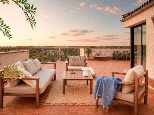 Piso, Ciutadella de Menorca