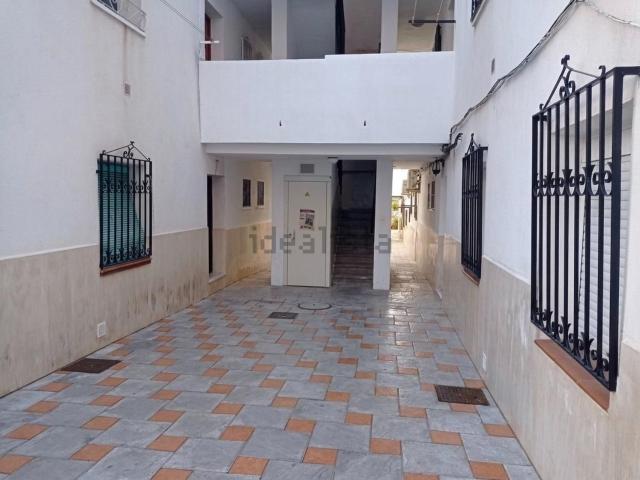 Piso, Coin