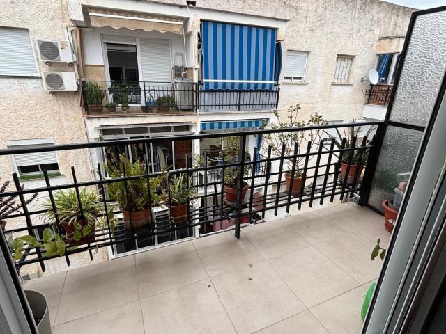 Piso, Coin