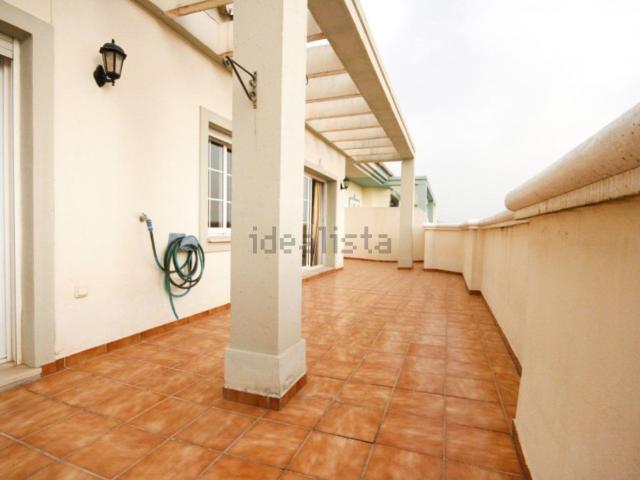 Piso, Coin