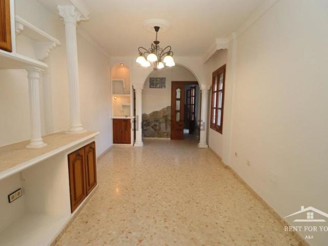 Piso, Coin