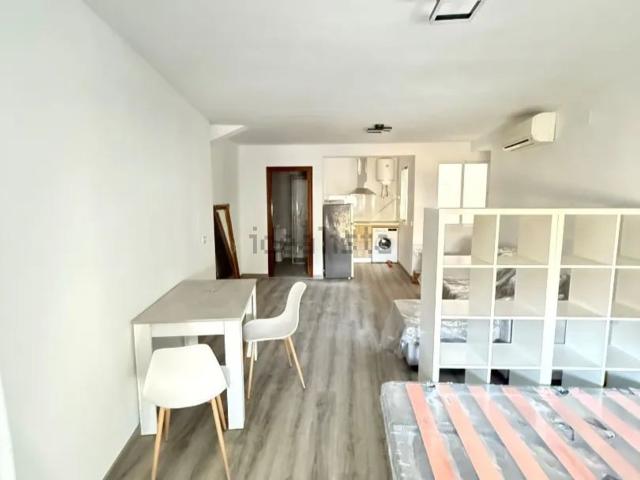 Piso, Coin