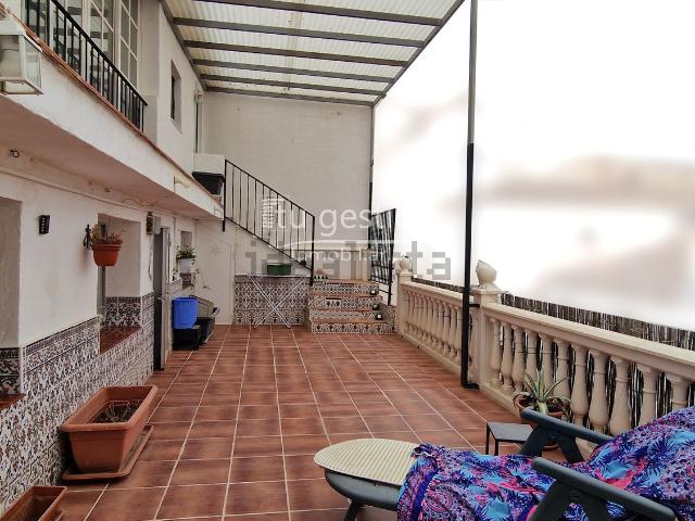 Piso, Coin
