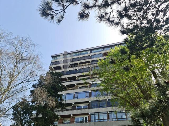 Piso, Coia, Vigo
