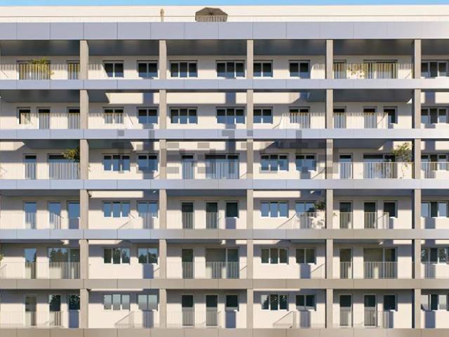 Piso, Coia, Vigo