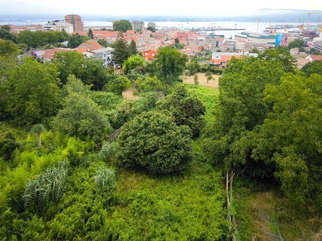 Piso, Coia, Vigo