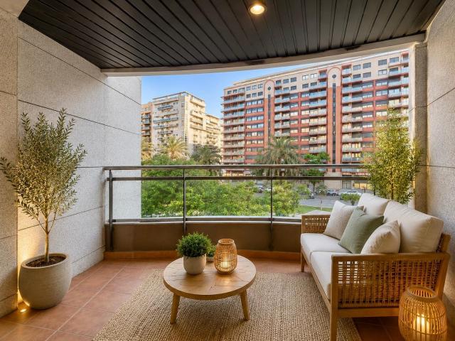 Piso con terraza, piscina y garaje doble en Avenida de Francia