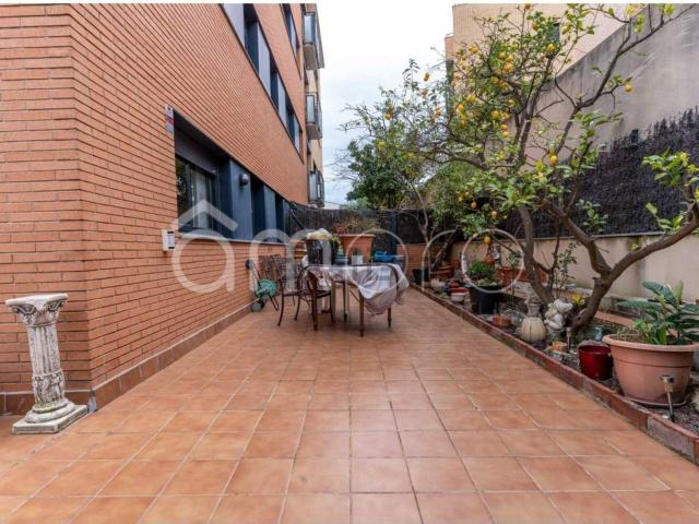 Piso, Constanti