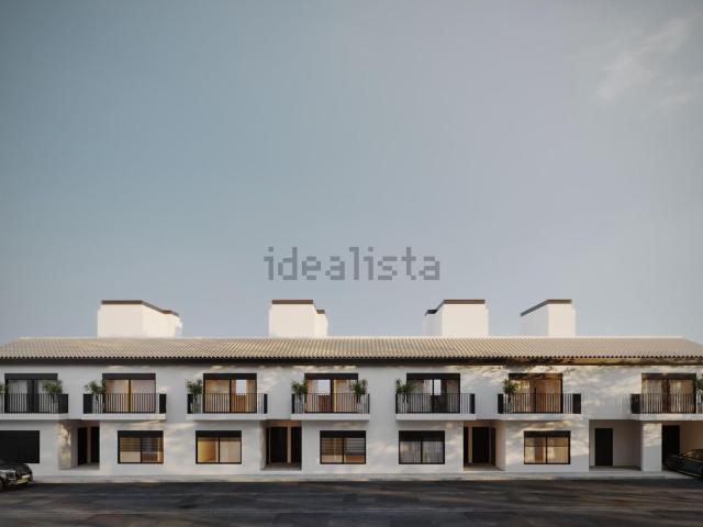 Piso, Consell