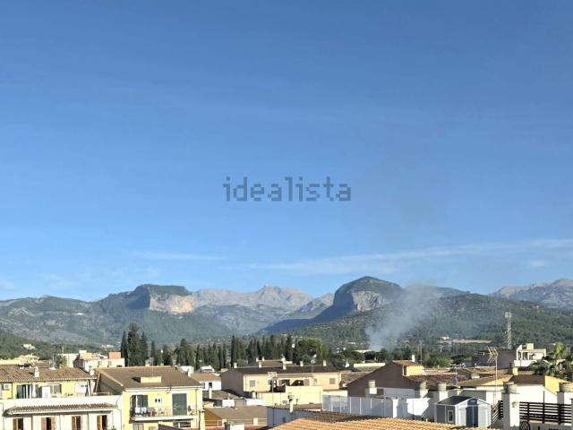 Piso, Consell