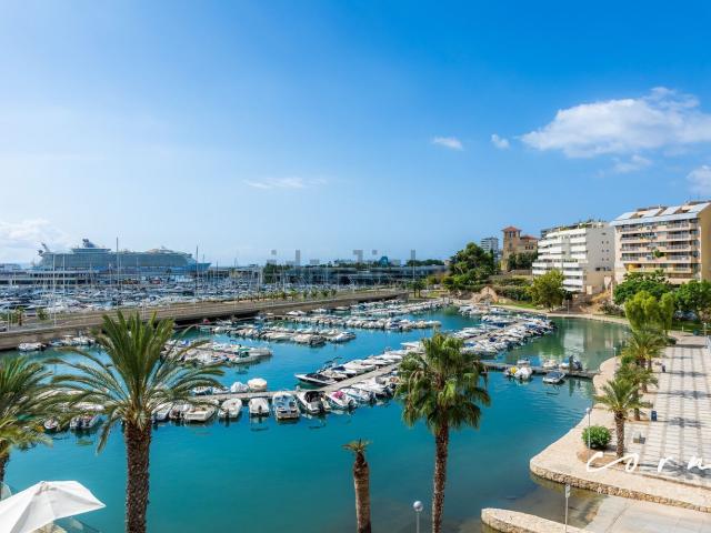 Piso, Cort, Palma de Mallorca