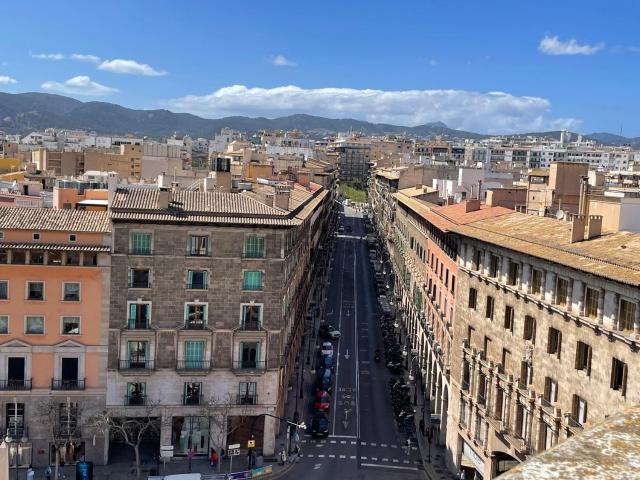 Piso, Cort, Palma de Mallorca