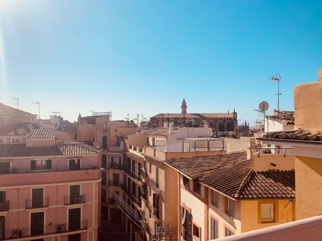 Piso, Cort, Palma de Mallorca