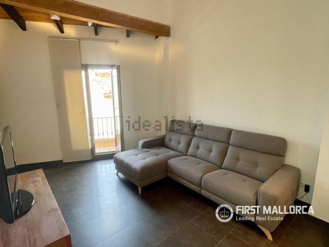 Piso, Cort, Palma de Mallorca