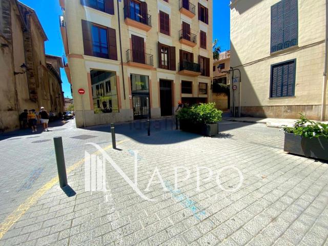 Piso, Cort, Palma de Mallorca