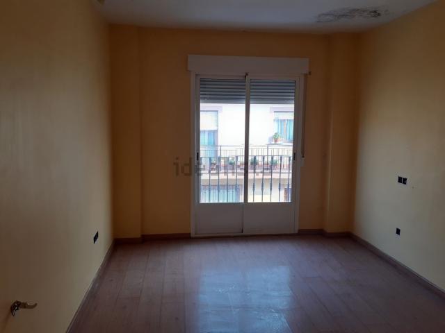 Piso, Daimiel