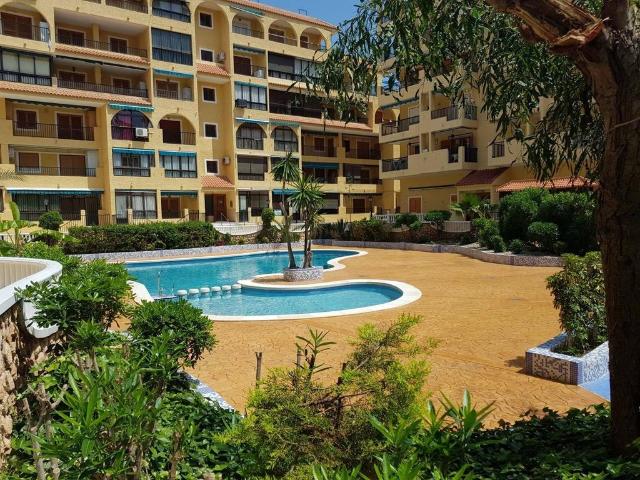 Piso de alto standing de 50 m2 en alquiler en Torrevieja, Comunidad Valenciana