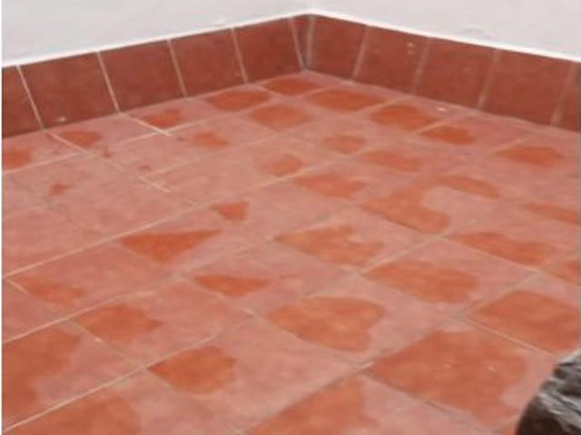 PISO DE ESTUDIANTES EN CAMINO DE RONDA