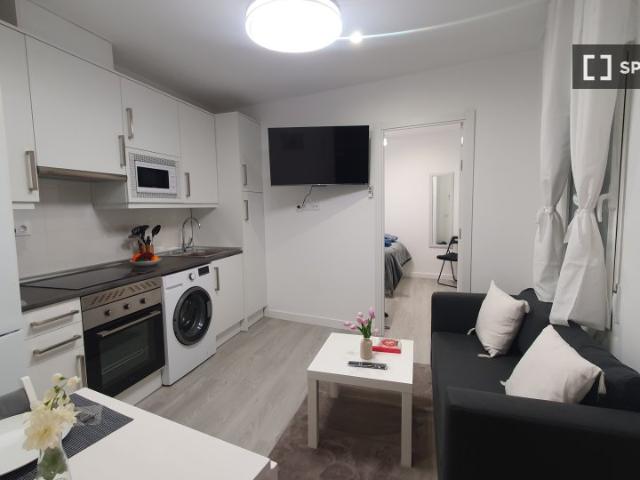 Piso de 1 dormitorio en alquiler en Universidad, Madrid