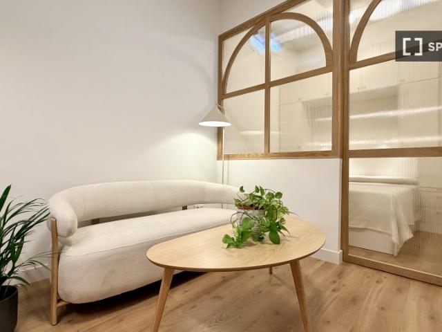 Piso de 1 dormitorio en alquiler en Universidad, Madrid