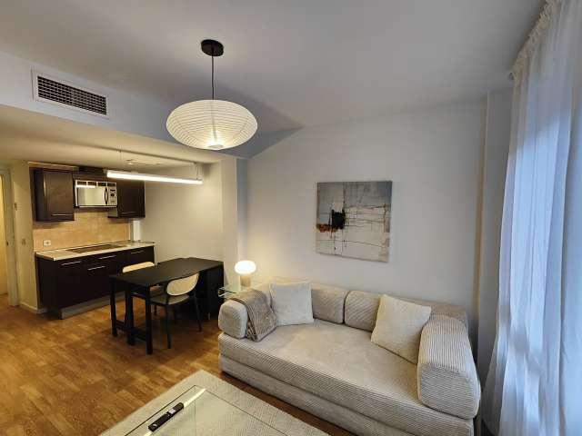 Piso de 1 dormitorio en alquiler en Almenara, Madrid