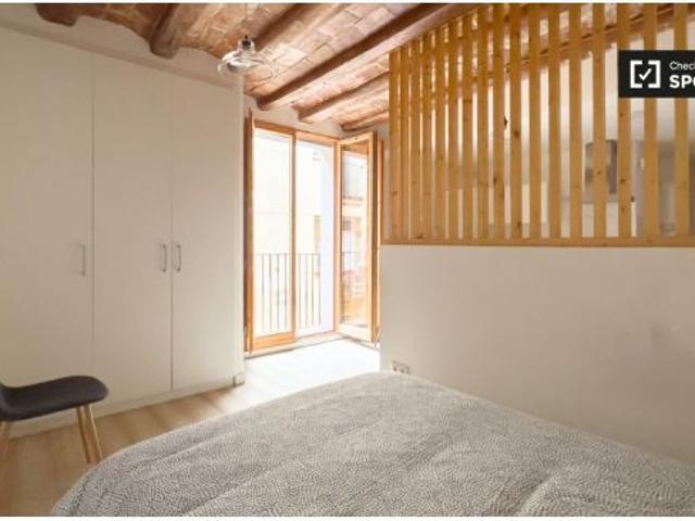 Piso de 1 dormitorio en alquiler en El Raval, Barcelona