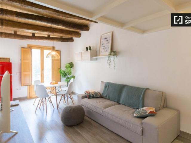 Piso de 1 dormitorio en alquiler en El Raval, Barcelona