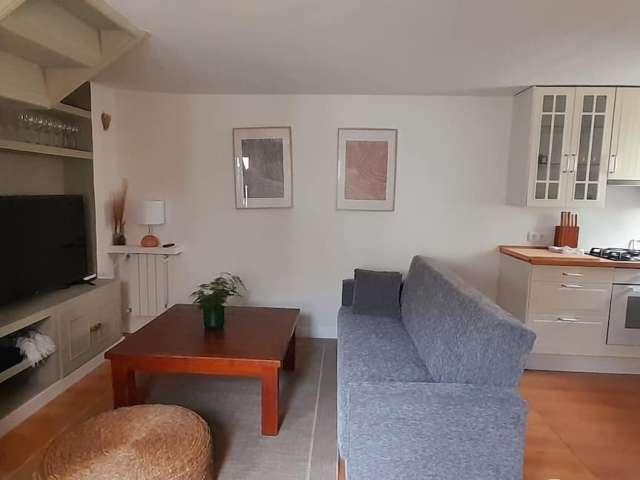 Piso de 1 dormitorio en alquiler en Embajadores, Madrid
