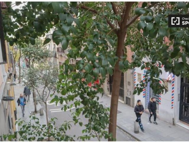 Piso de 1 dormitorio en alquiler en Embajadores, Madrid