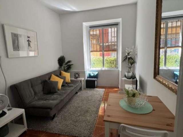 Piso de 1 dormitorio en alquiler en Embajadores, Madrid