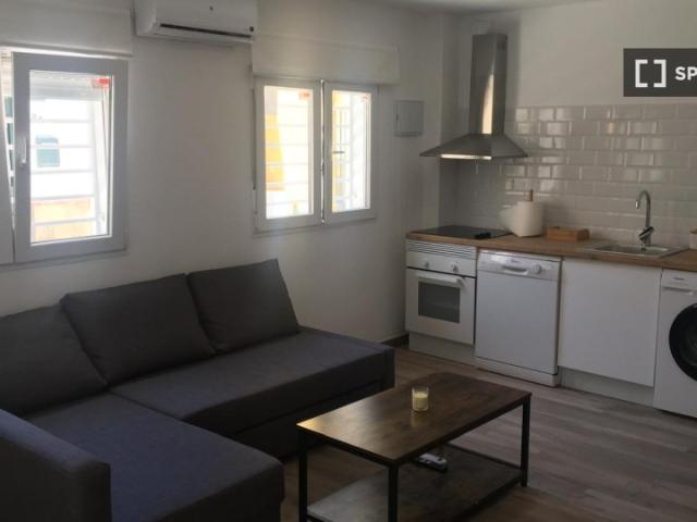Piso de 1 dormitorio en alquiler en Málaga