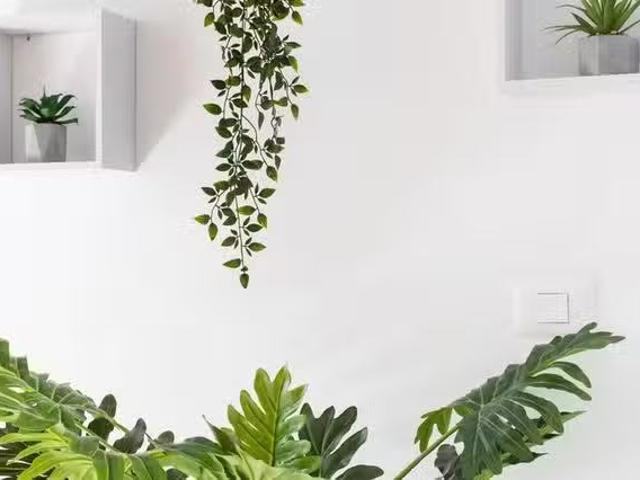 Piso de 1 habitación en Tejeda