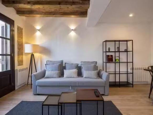 Piso de 1 habitación en Carrer de Pelai
