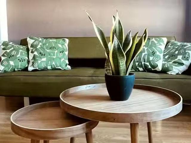 Piso de 1 habitación en Carrer de Peris Brell, Aiora