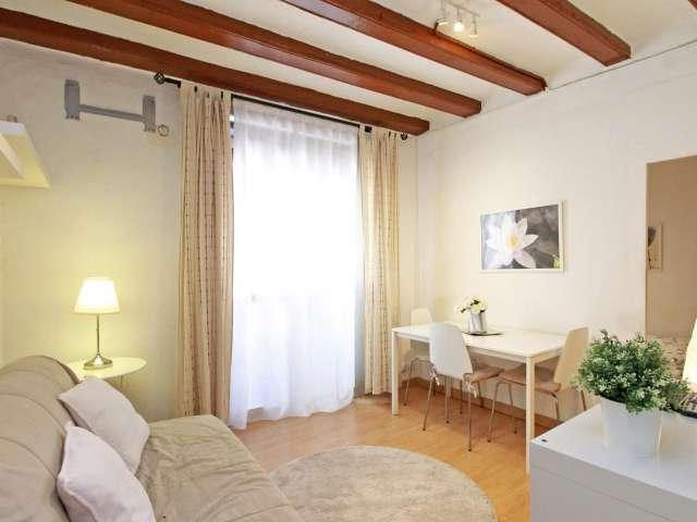 Piso de 2 habitaciones en alquiler en El Raval, Barcelona