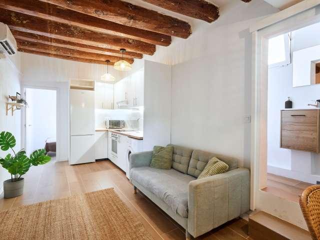 Piso de 2 habitaciones en alquiler en El Raval, Barcelona