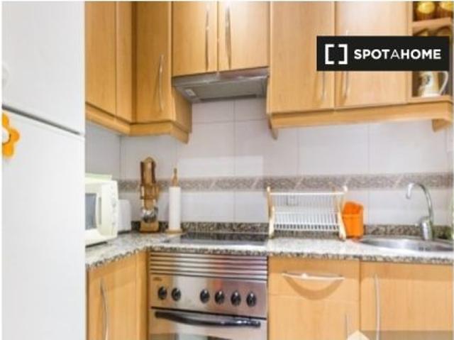 Piso de 2 habitaciones en alquiler en El Raval, se admiten mascotas, se permite fumar