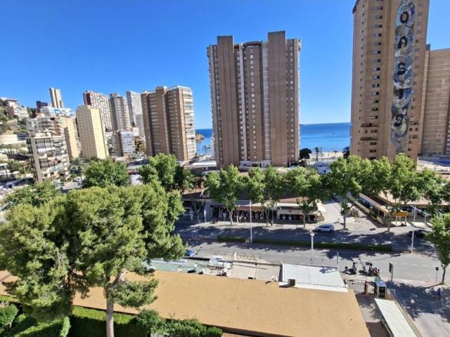 Piso de 3 dormitorios en Benidorm
