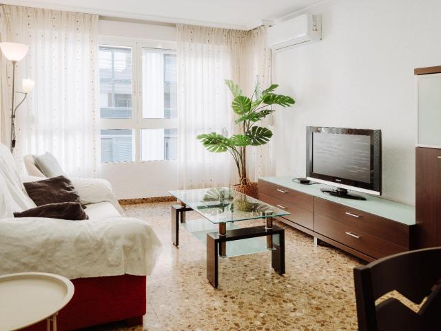 Piso de 3 habitaciones en el corazón de la ciudad Alicante centro