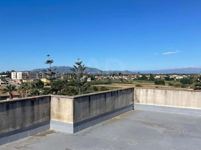 Piso, Deltebre