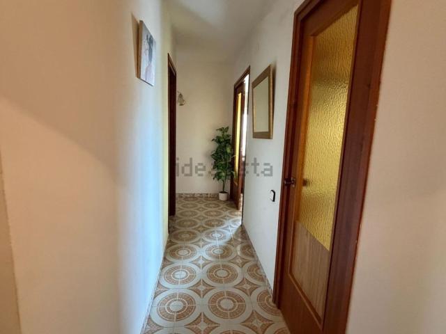 Piso, Deltebre