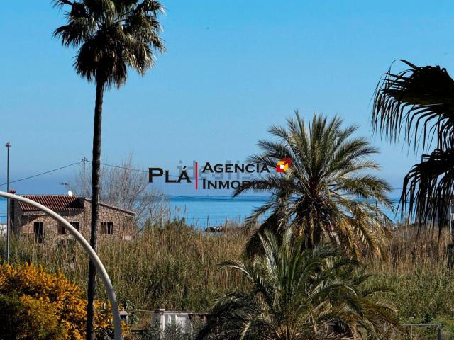 Piso, Denia