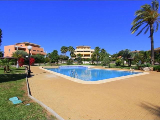 Piso, Denia