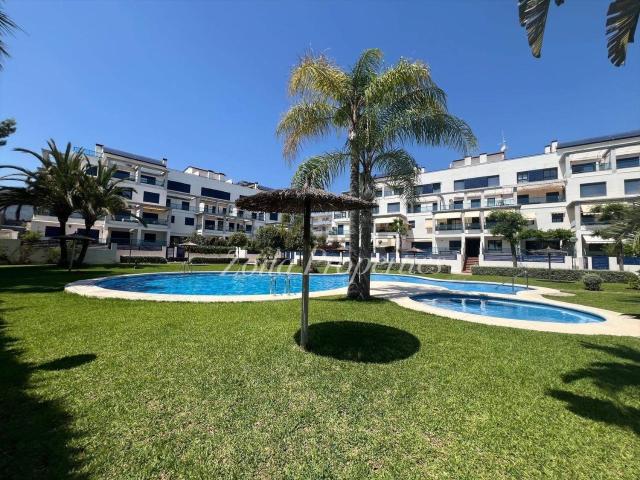 Piso, Denia