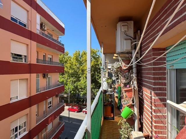 Piso, Denia