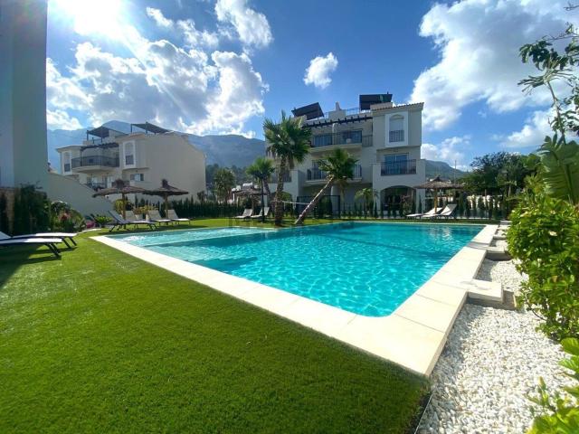 Piso, Denia