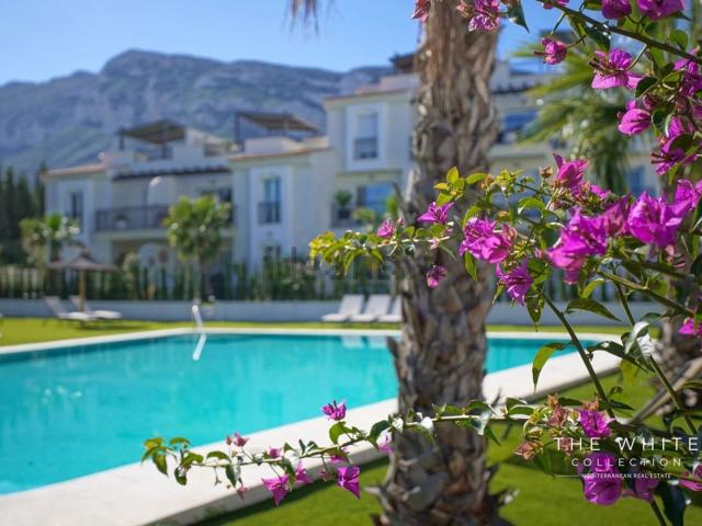 Piso, Denia