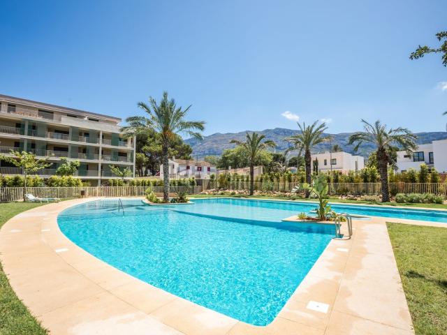 Piso, Denia