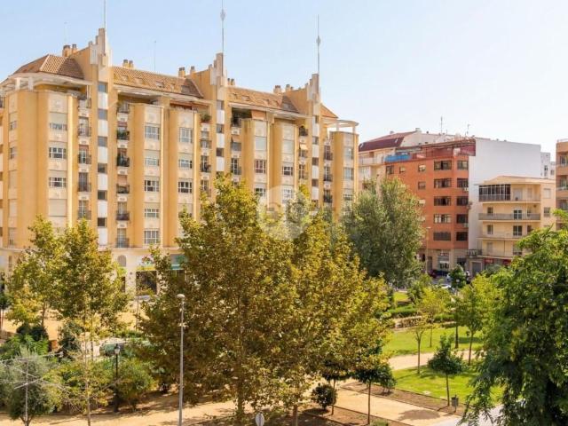 Piso, Denia