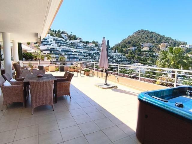 Piso, Denia